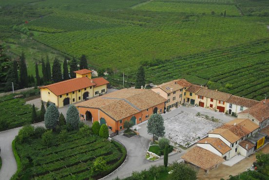 http://www.clubamarone.se/wp-content/uploads/2014/10/brunelli-wineyard.jpg